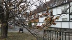20190327-1.jpg